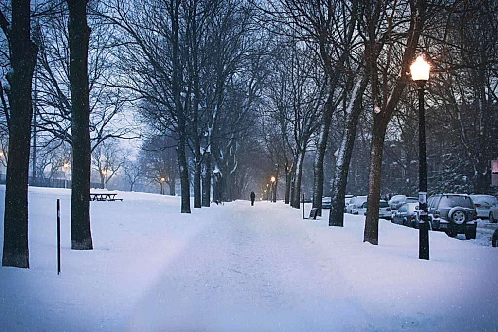 snöskottning umeå